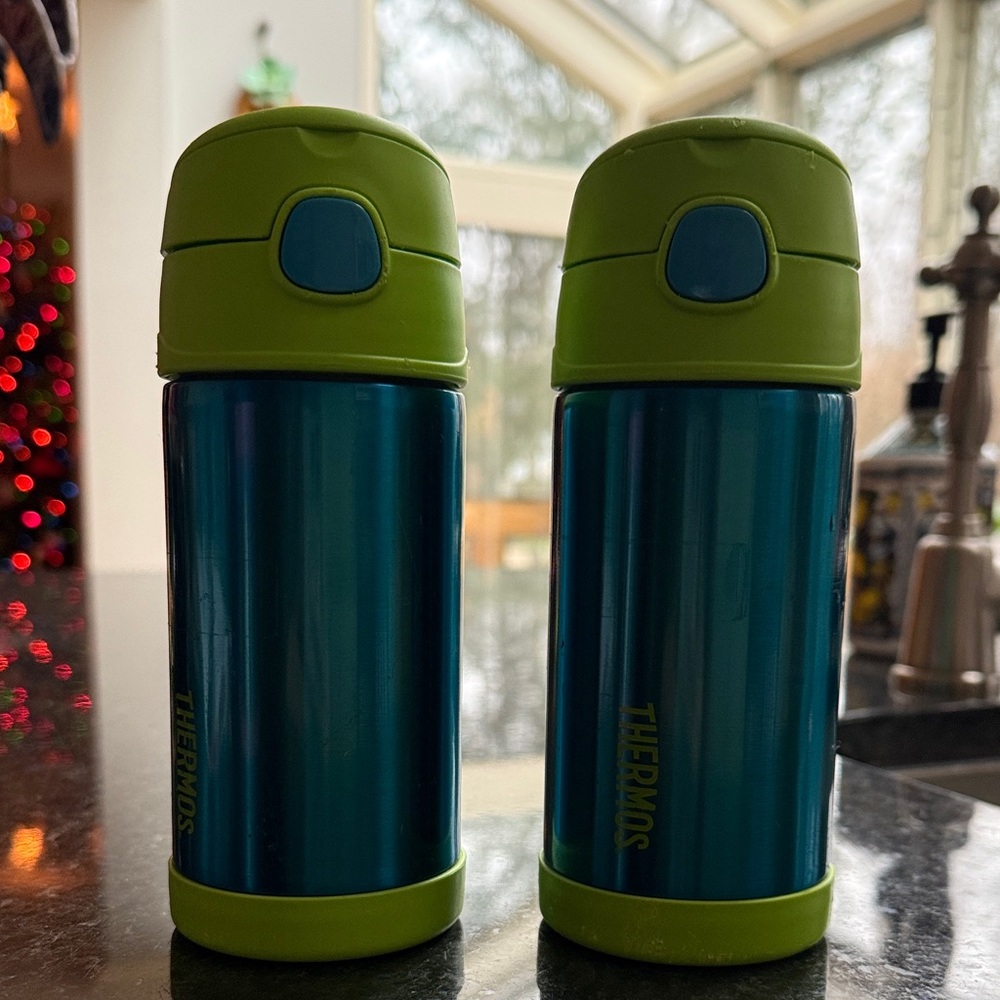 Thermos Kids Stainless Steel Bottles -2